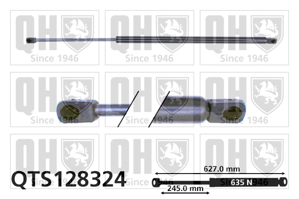 Gas Spring, boot/cargo area (QTS128324)