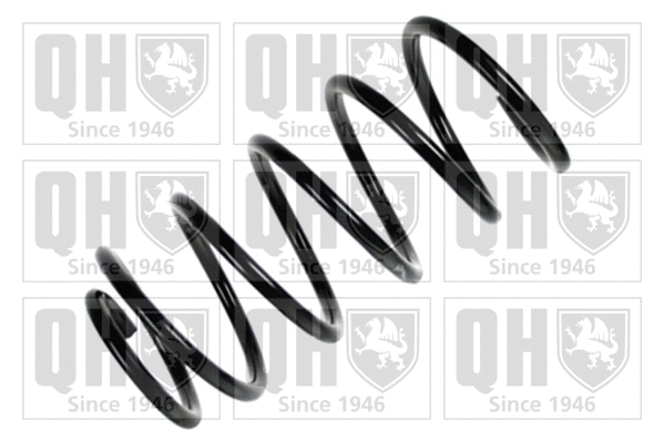 Suspension Spring (QCS6067)