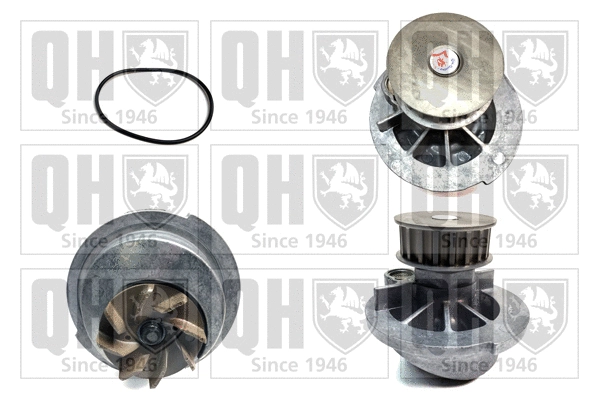 Water Pump, engine cooling (QCP3517)