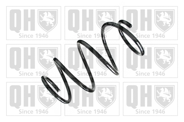 Suspension Spring (QCS6898)