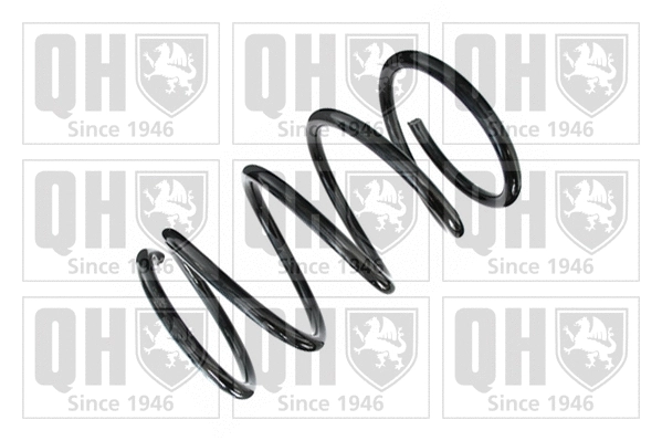 Suspension Spring (QCS5994)