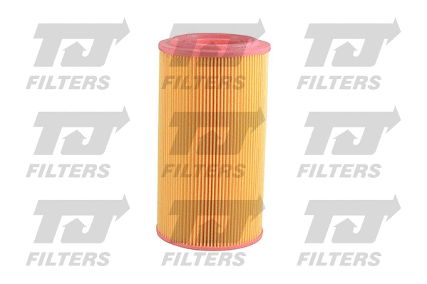 Air Filter (QFA0373)