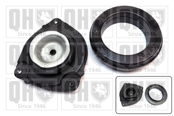 Repair Kit, suspension strut support mount (EMA4919)