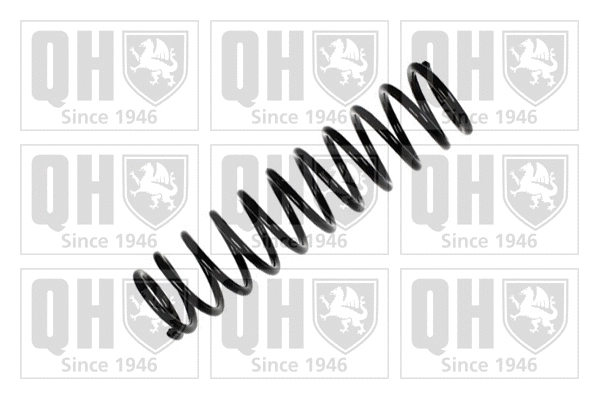 Suspension Spring (QCS6290)
