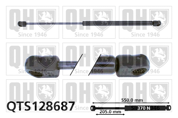 Gas Spring, boot/cargo area (QTS128687)