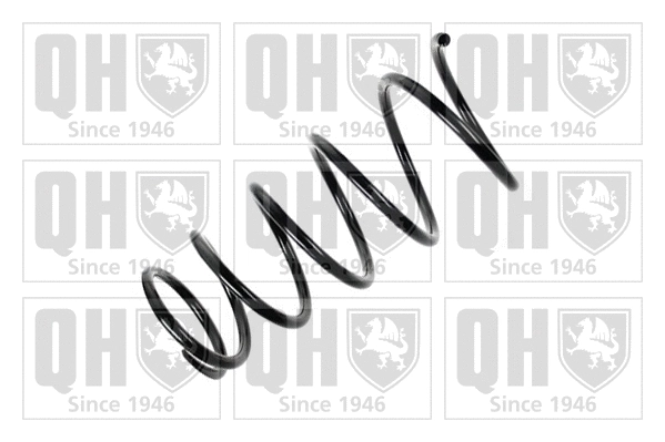 Suspension Spring (QCS7939)