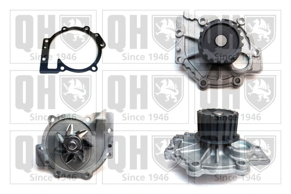 Water Pump, engine cooling (QCP3556)