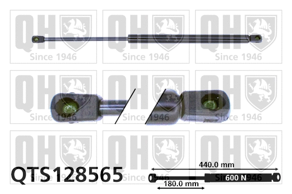 Gas Spring, boot/cargo area (QTS128565)