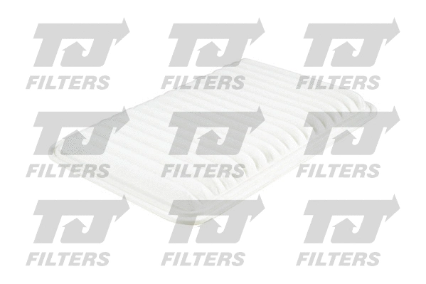 Air Filter (QFA0196)