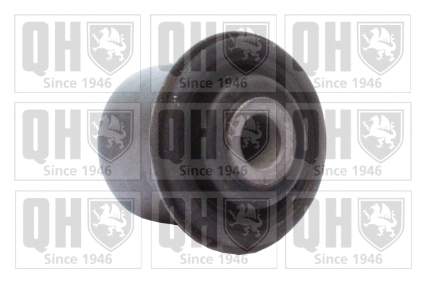 Mounting, control/trailing arm (EMS8502)