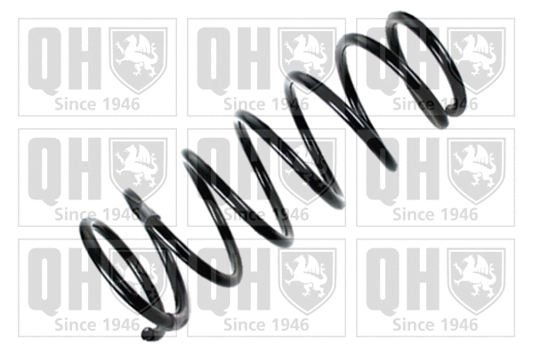 Suspension Spring (QCS6781)