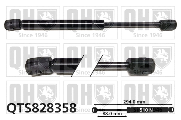 Gas Spring, bonnet (QTS828358)