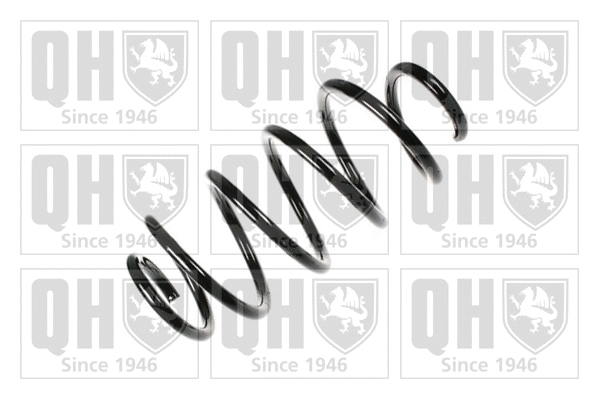 Suspension Spring (QCS7318)