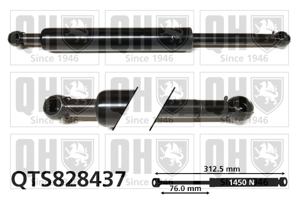 Gas Spring, boot/cargo area (QTS828437)