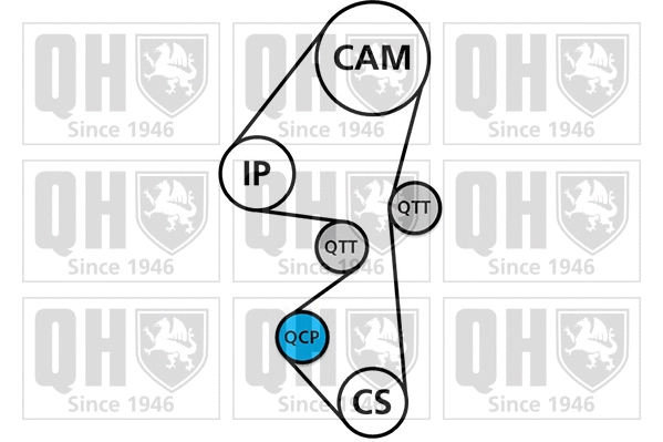 Timing Belt Kit (QBK892)
