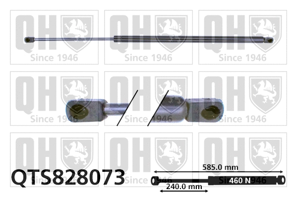 Gas Spring, boot/cargo area (QTS828073)