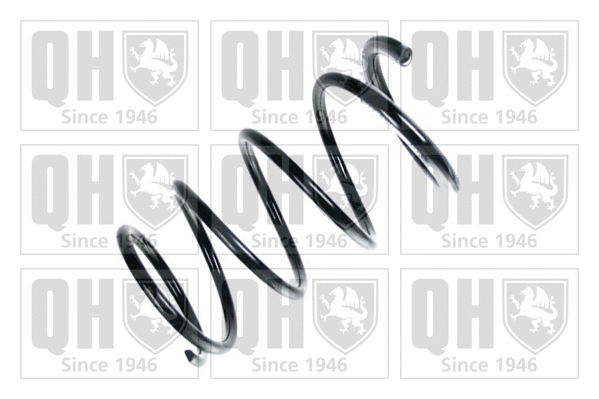 Suspension Spring (QCS7847)