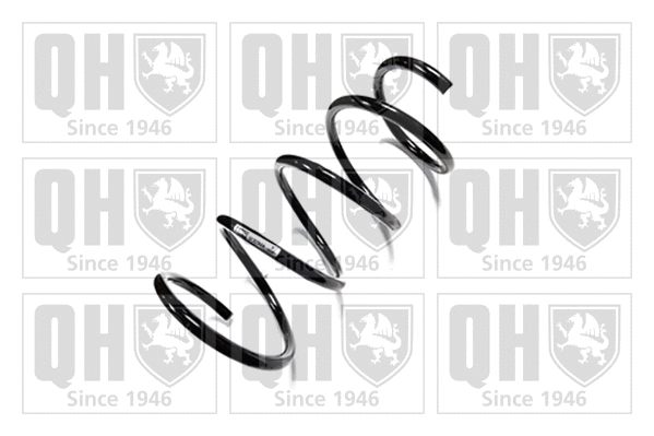 Suspension Spring (QCS7824)