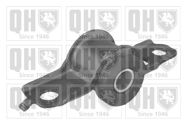 Mounting, control/trailing arm (EMS8163)