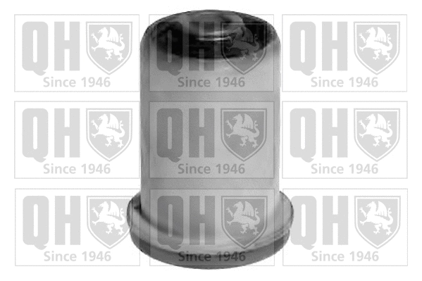 Mounting, control/trailing arm (EMS8291)