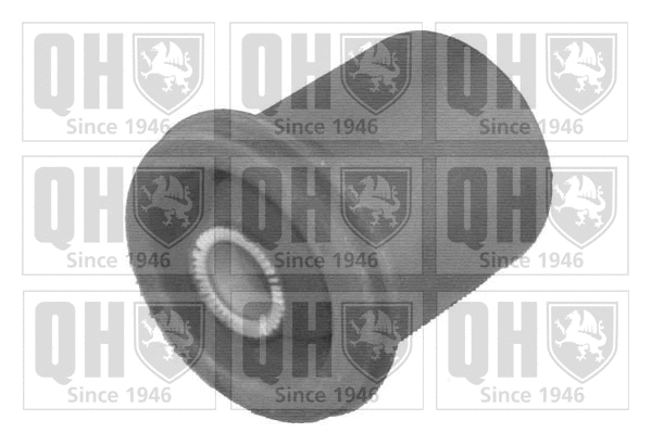 Mounting, control/trailing arm (EMS8161)