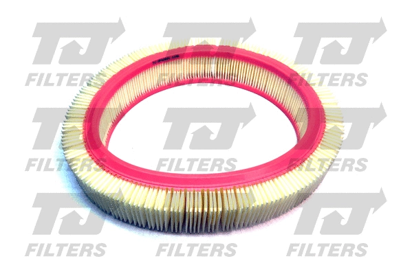 Air Filter (QFA0819)