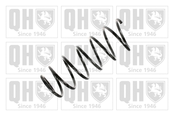 Suspension Spring (QCS5081)