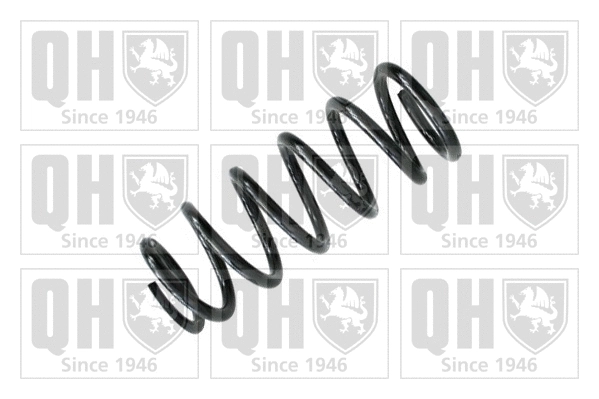Suspension Spring (QCS8174)