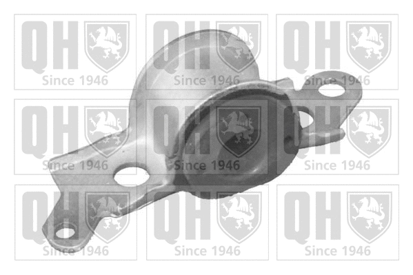 Mounting, control/trailing arm (EMS8063)