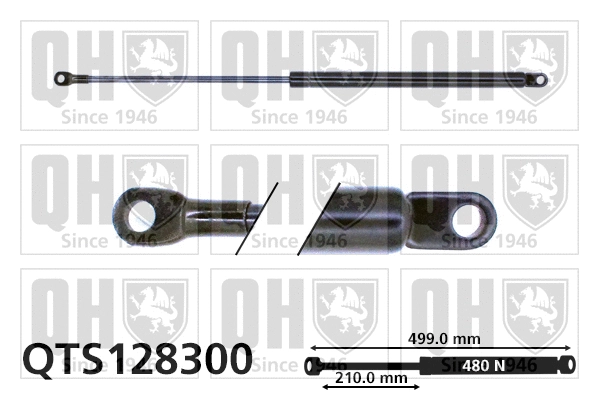 Gas Spring, boot/cargo area (QTS128300)