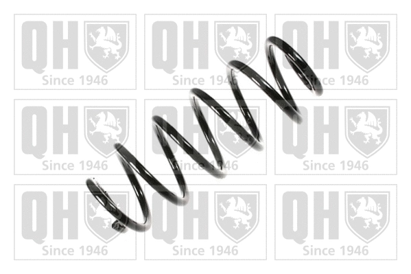 Suspension Spring (QCS7024)