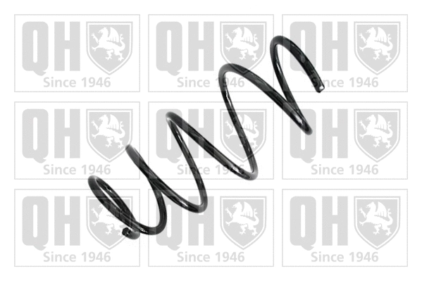 Suspension Spring (QCS5319)