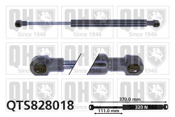 Gas Spring, boot/cargo area (QTS828018)