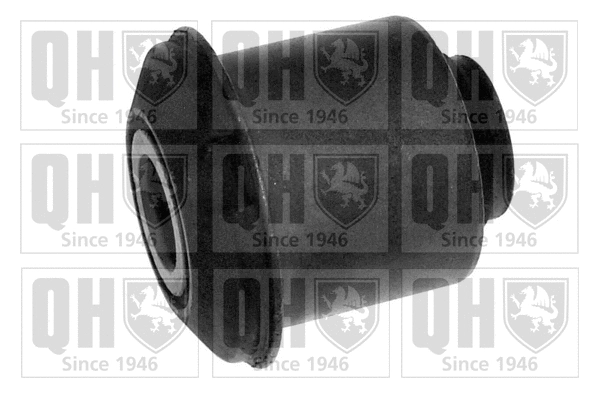 Mounting, control/trailing arm (EMS3031)