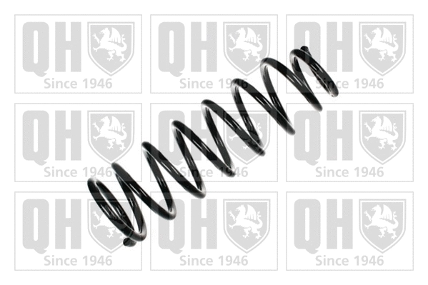 Suspension Spring (QCS6002)