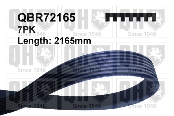 V-Ribbed Belt (QBR72165)