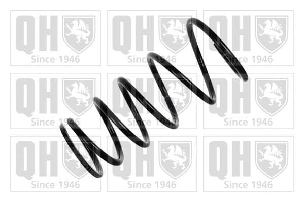 Suspension Spring (QCS6678)