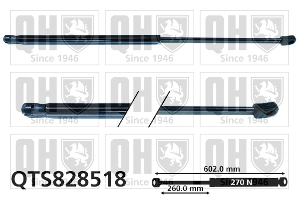 Gas Spring, boot/cargo area (QTS828518)