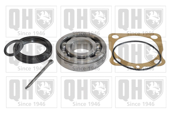 Wheel Bearing Kit (QWB336)