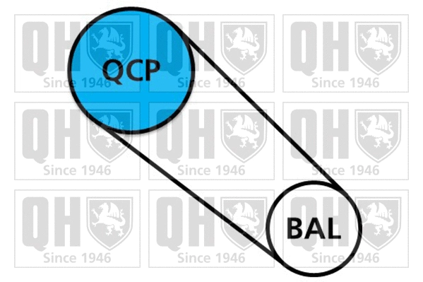 Water Pump & Timing Belt Kit