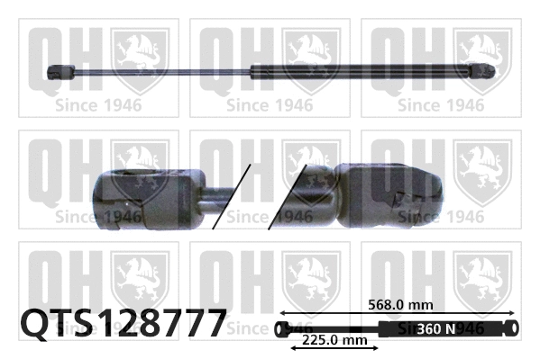 Gas Spring, boot/cargo area (QTS128777)