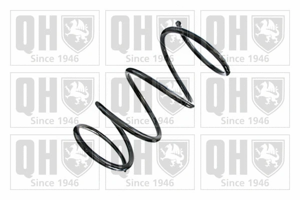 Suspension Spring (QCS8887)