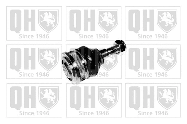 Ball Joint (QSJ839S)