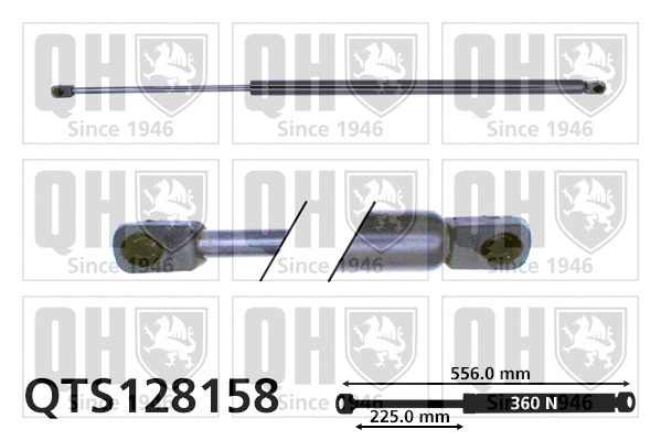 Gas Spring, boot/cargo area (QTS128158)