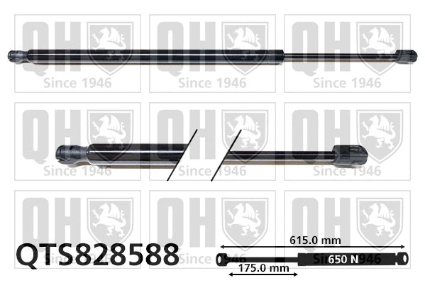 Gas Spring, boot/cargo area (QTS828588)