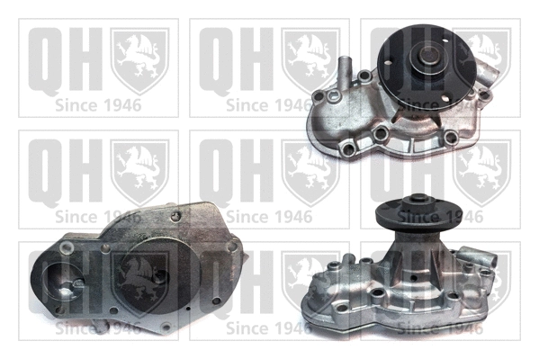 Water Pump, engine cooling (QCP2801)