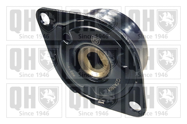 Tensioner Pulley, V-ribbed belt (QTA1601)