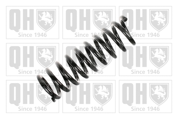 Suspension Spring (QCS5269)