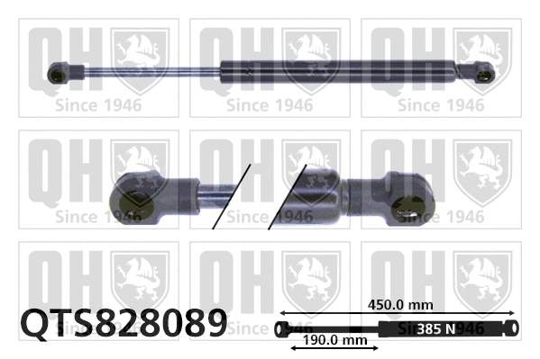 Gas Spring, boot/cargo area (QTS828089)