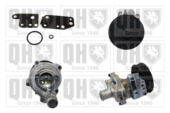 Water Pump, engine cooling (QCP3749BH)